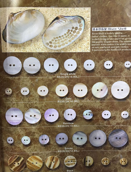 Natural Shell Button Two Hole Square