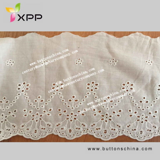Popular Embroidery Eyelet Lace for Women Garment