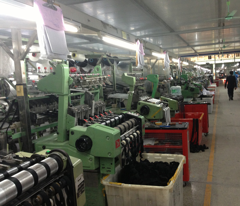 High Quality Cotton/Polyester/Polypropylene/PP/Nylon Webbing