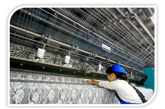 New Style Beautful Nylon Webbing Fabric Lace for Cloth